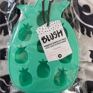 Blush + Mint Pineapple Ice Mold NWT | Cute Retro Kitchen Decor
